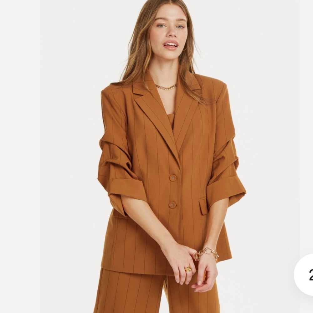 Danielle Bernstein Pinstripe Blazer with Ruched Sleeves Size Small